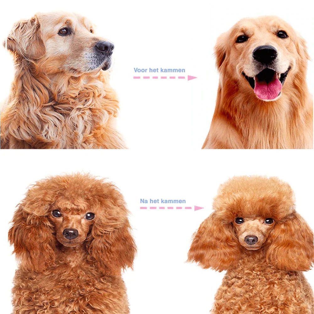 Double-Sided Detangling Comb for Pets🔥Buy 1 Get 1 Free🔥