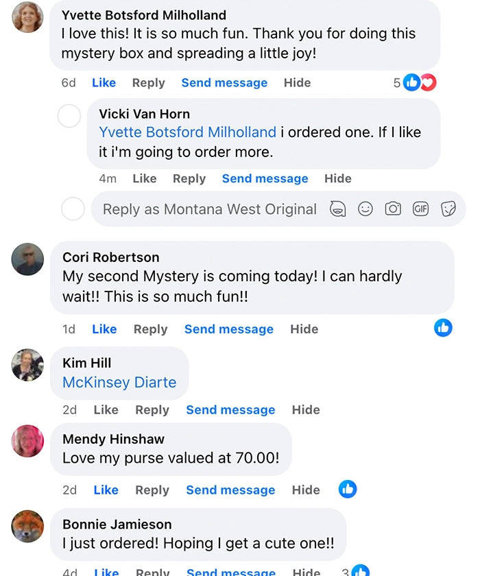 Mystery Box - Western Style Bag